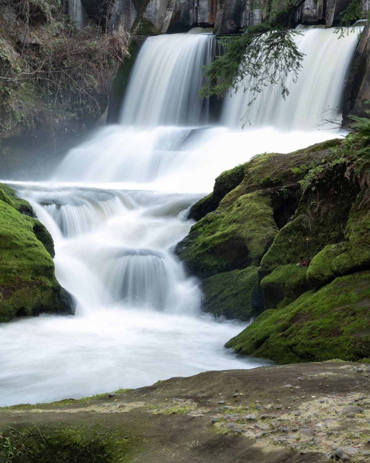 Digital Marketing Camas WA: Strategi Menuju Sukses Bisnis Online